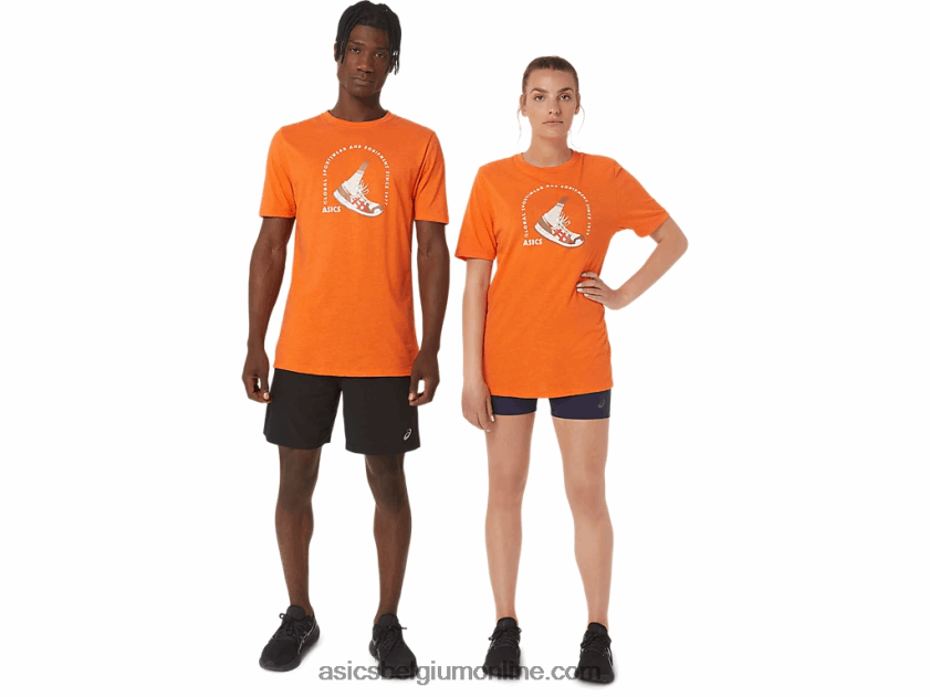 1977 Global Sportswear T-shirt met korte mouwen V6HXR21268 goudsbloem heide Asics