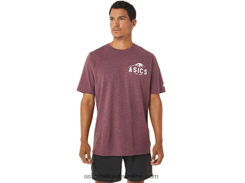 fuji-t-shirt uit 1977 V6HXR21265 diepe marsheide Asics