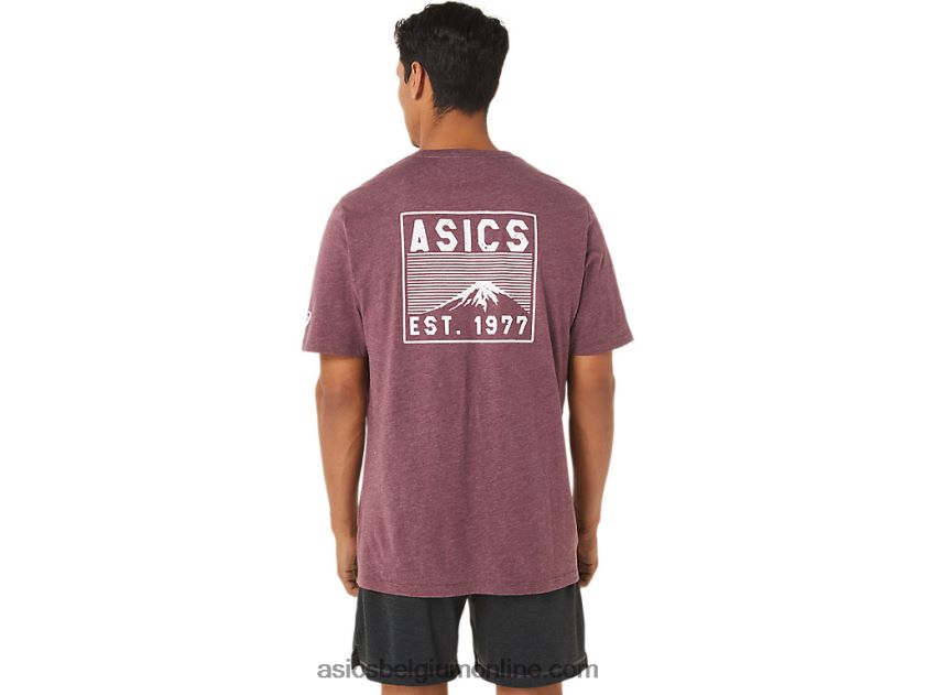 fuji-t-shirt uit 1977 V6HXR21265 diepe marsheide Asics