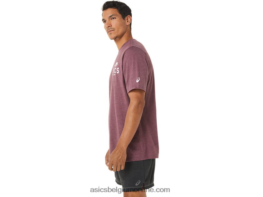 fuji-t-shirt uit 1977 V6HXR21265 diepe marsheide Asics