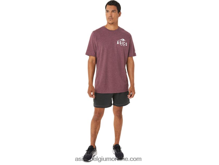 fuji-t-shirt uit 1977 V6HXR21265 diepe marsheide Asics