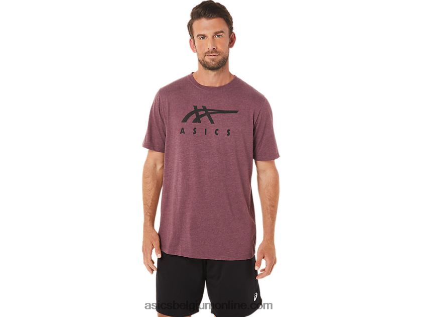 gestreept T-shirt met korte mouwen V6HXR21643 diepe marsheide Asics