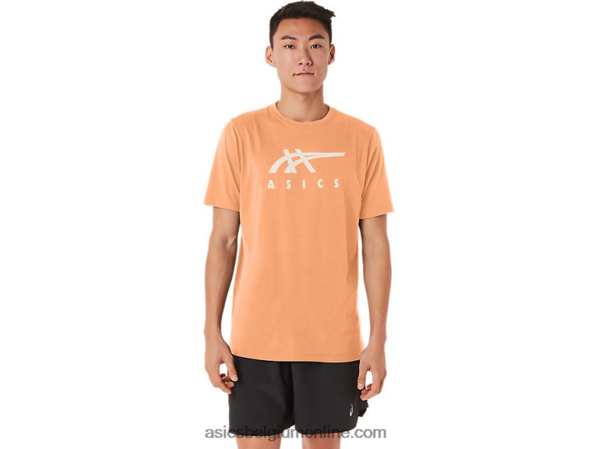 gestreept T-shirt met korte mouwen V6HXR270 zomer duin Asics