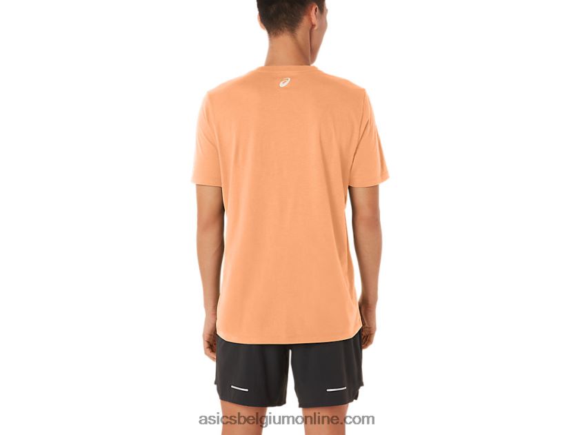 gestreept T-shirt met korte mouwen V6HXR270 zomer duin Asics