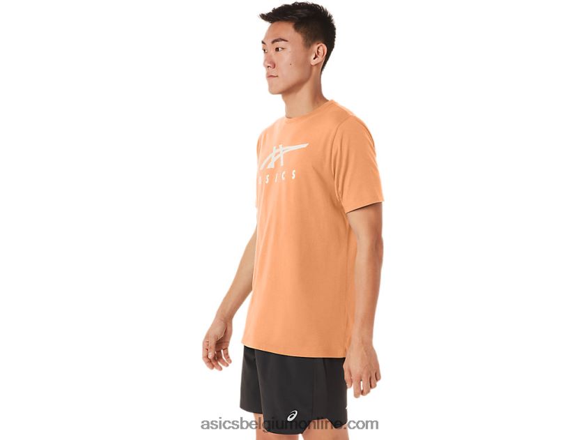 gestreept T-shirt met korte mouwen V6HXR270 zomer duin Asics