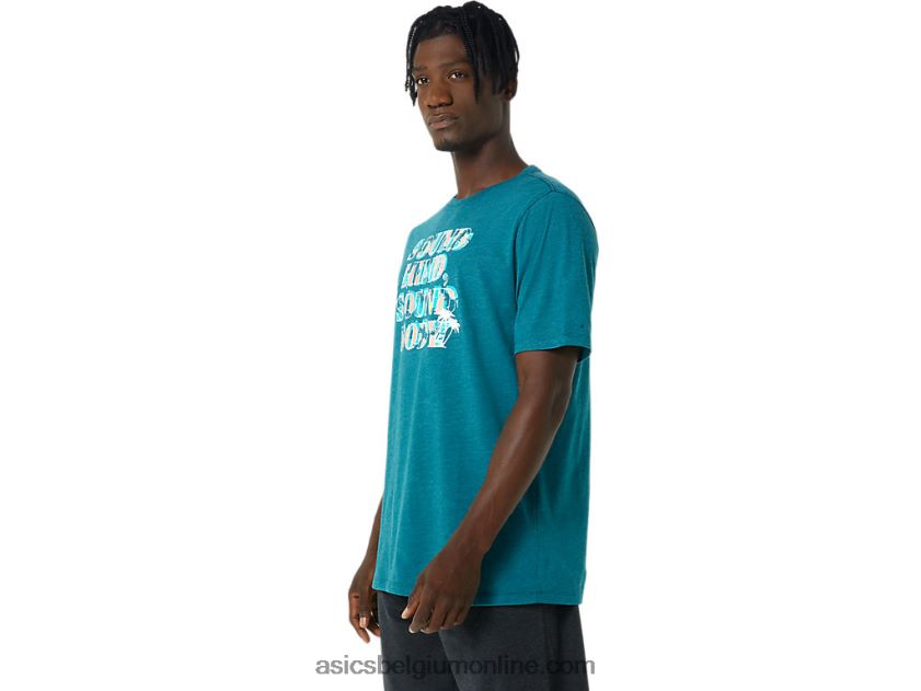 hibiscus slogan T-shirt V6HXR2798 fluwelen dennenheide Asics