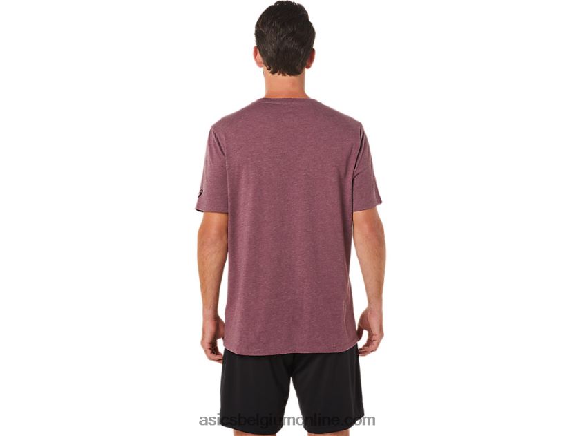 penseel korte mouw T-shirt V6HXR22078 diepe marsheide Asics