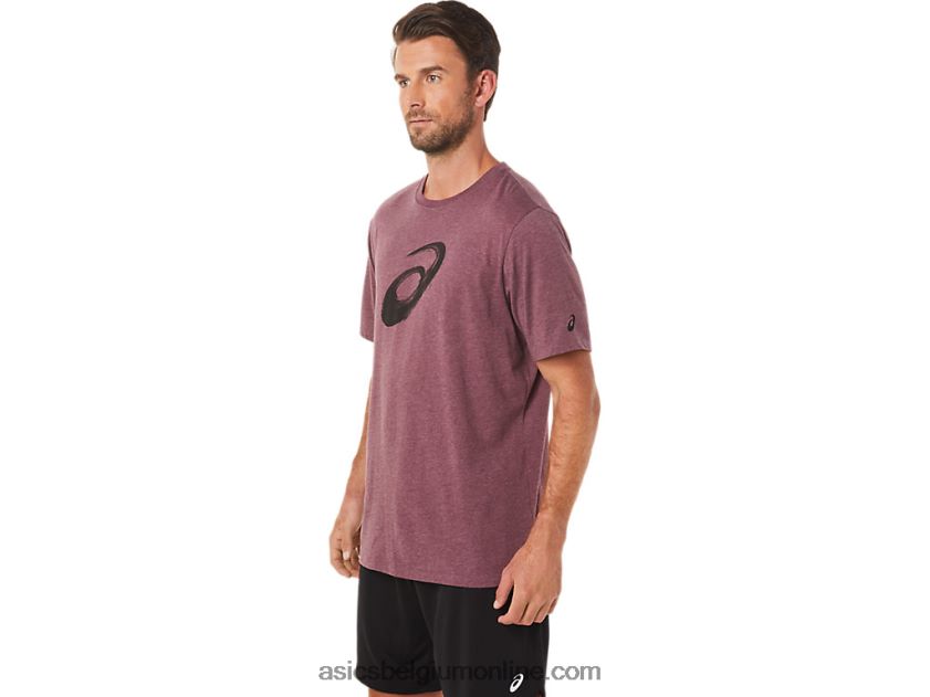 penseel korte mouw T-shirt V6HXR22078 diepe marsheide Asics