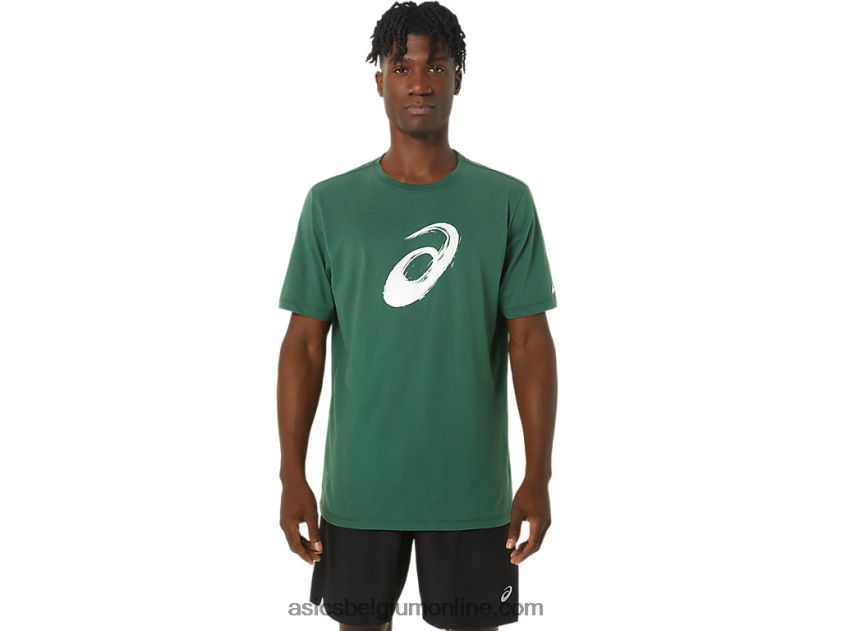 penseel korte mouw T-shirt V6HXR2879 jagersgroen Asics