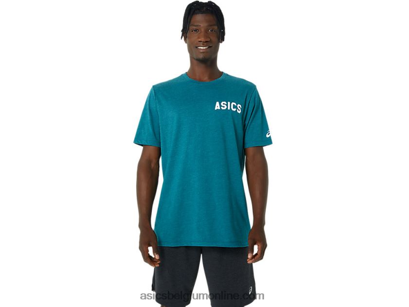 strepen zonsopgang tee V6HXR2831 fluwelen dennenheide Asics