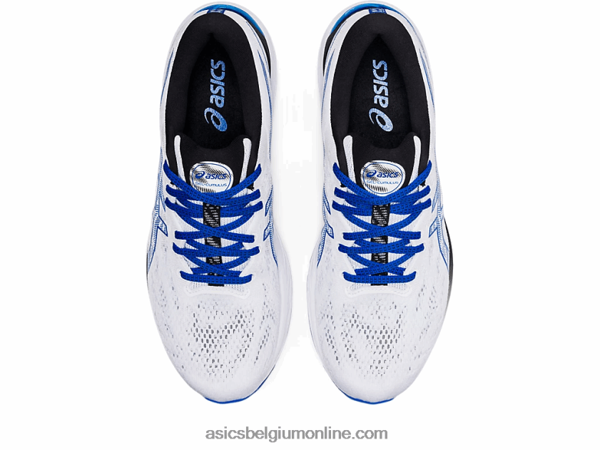 gel-cumulus 23 V6HXR2565 wit/tonijnblauw Asics