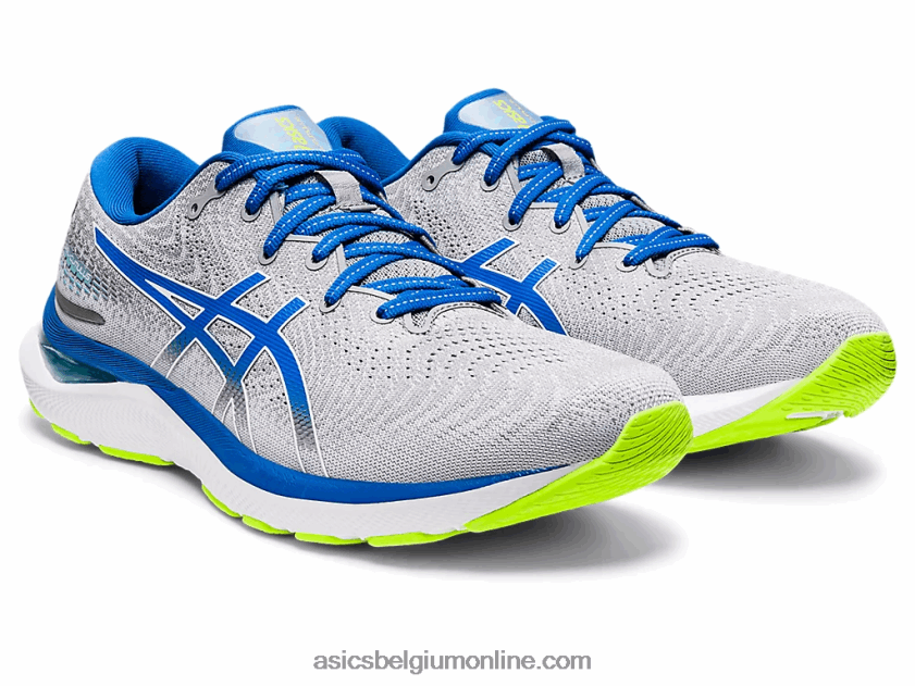 gel-cumulus 24 V6HXR21310 bladrots / meer rijden Asics