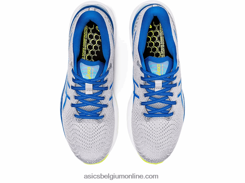 gel-cumulus 24 V6HXR21310 bladrots / meer rijden Asics
