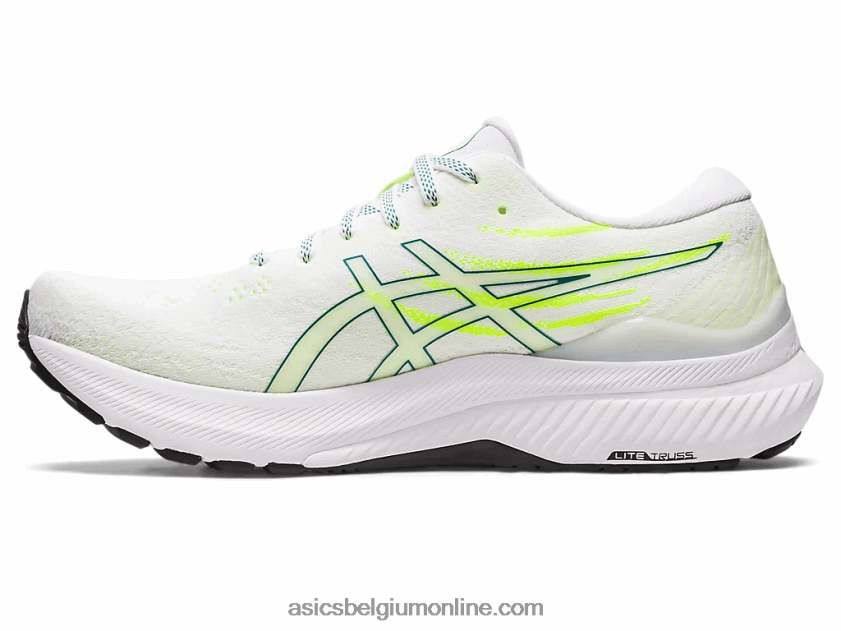 gel-kayano 29 V6HXR21178 wit/fluweel grenen Asics