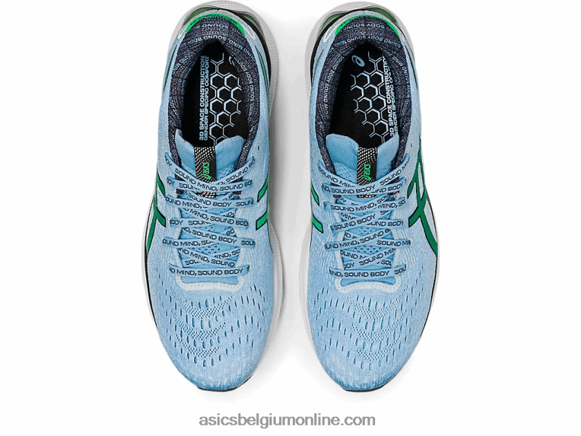 gel-nimbus 24 gelimiteerde editie V6HXR21014 arctische lucht / koriander Asics