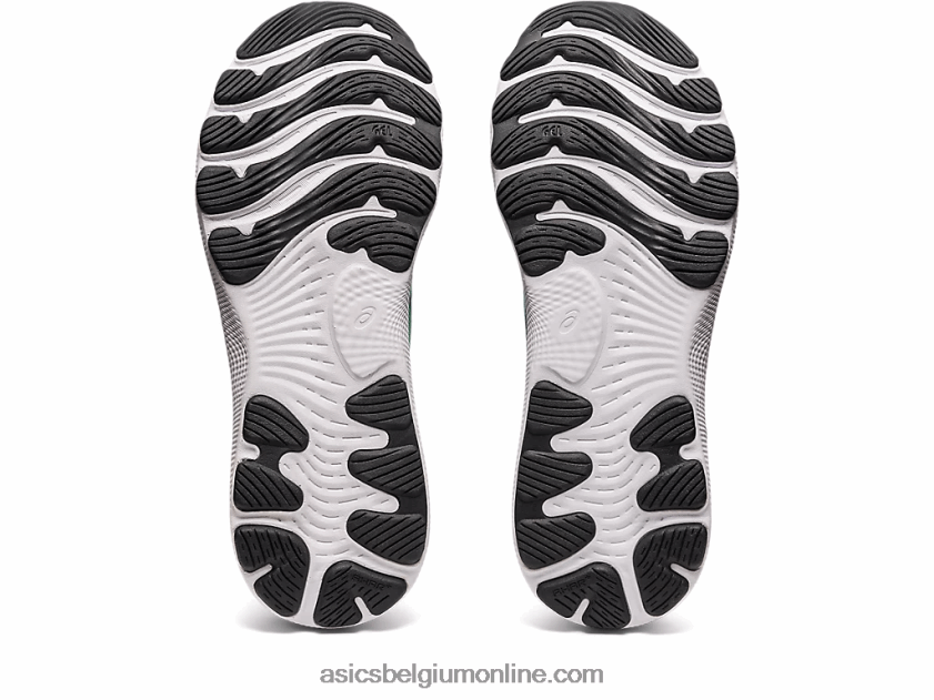 gel-nimbus 24 gelimiteerde editie V6HXR21014 arctische lucht / koriander Asics