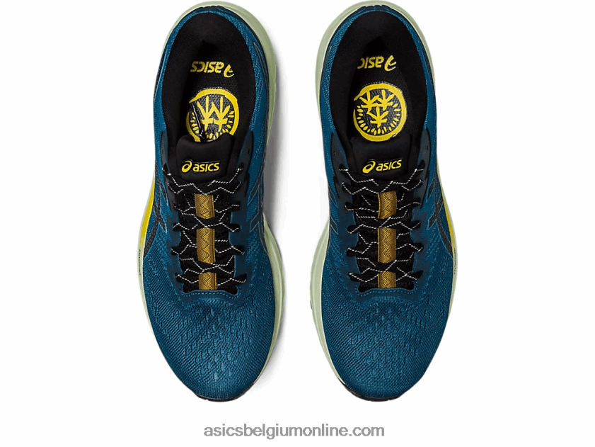 gt-1000 11 tr natuurbaden V6HXR2524 natuurbaden/goudgeel Asics