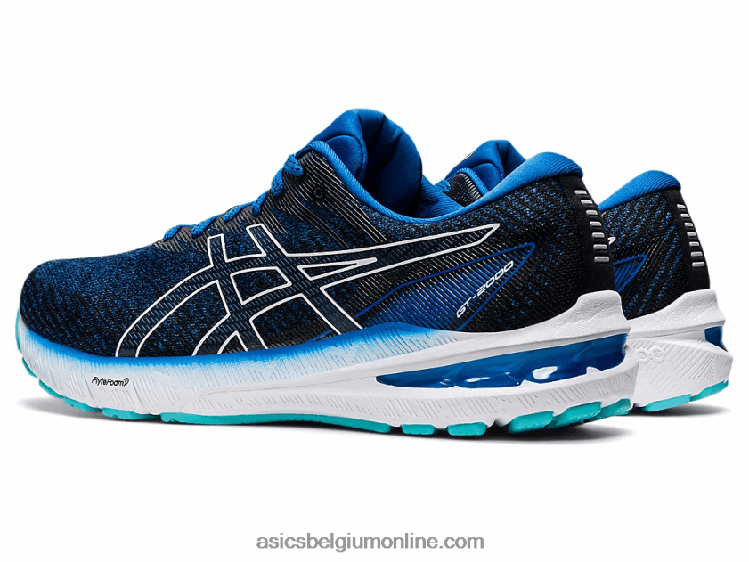 gt-2000 10 V6HXR21465 meer drive/wit Asics