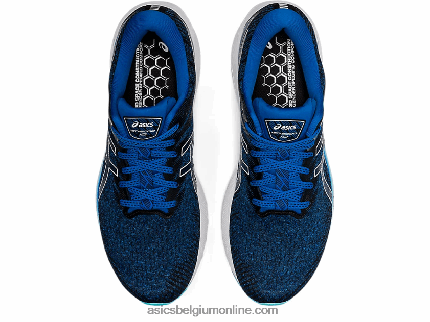 gt-2000 10 V6HXR21465 meer drive/wit Asics