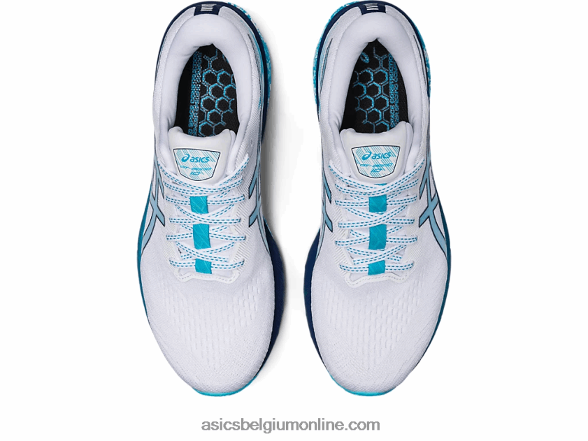 gt-2000 10 V6HXR2603 wit/ijsmunt Asics