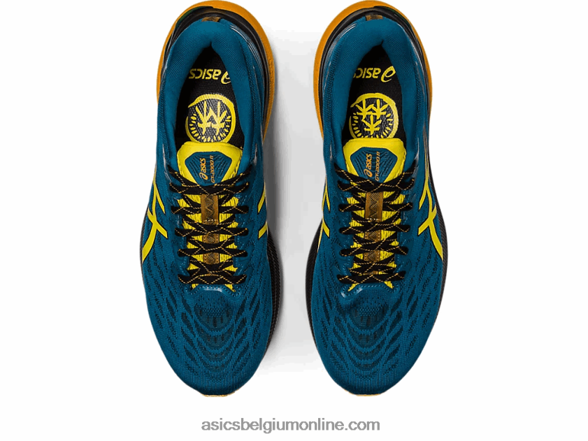 gt-2000 11 tr breed natuurbad V6HXR2379 natuurbaden/goudgeel Asics
