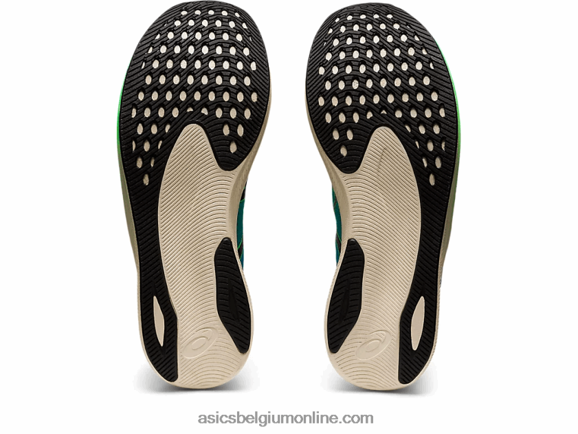 magische snelheid 2 ekiden V6HXR2846 nieuw blad/zwart Asics