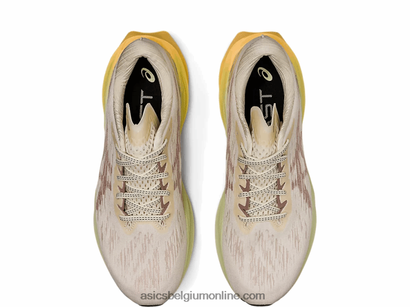 novablast 3 V6HXR2376 creme/bruin Asics