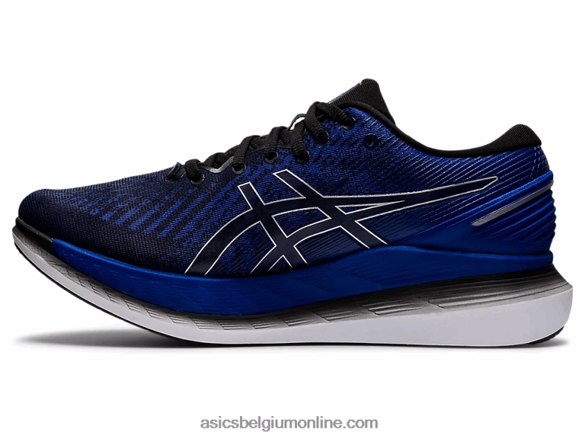 zweefvliegen 2 V6HXR21794 zwart Asics