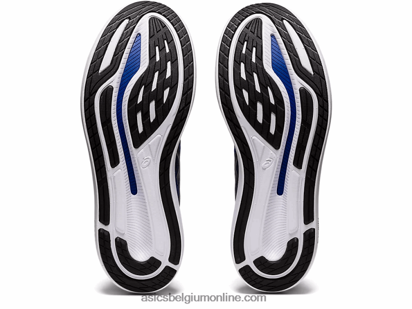 zweefvliegen 2 V6HXR21794 zwart Asics
