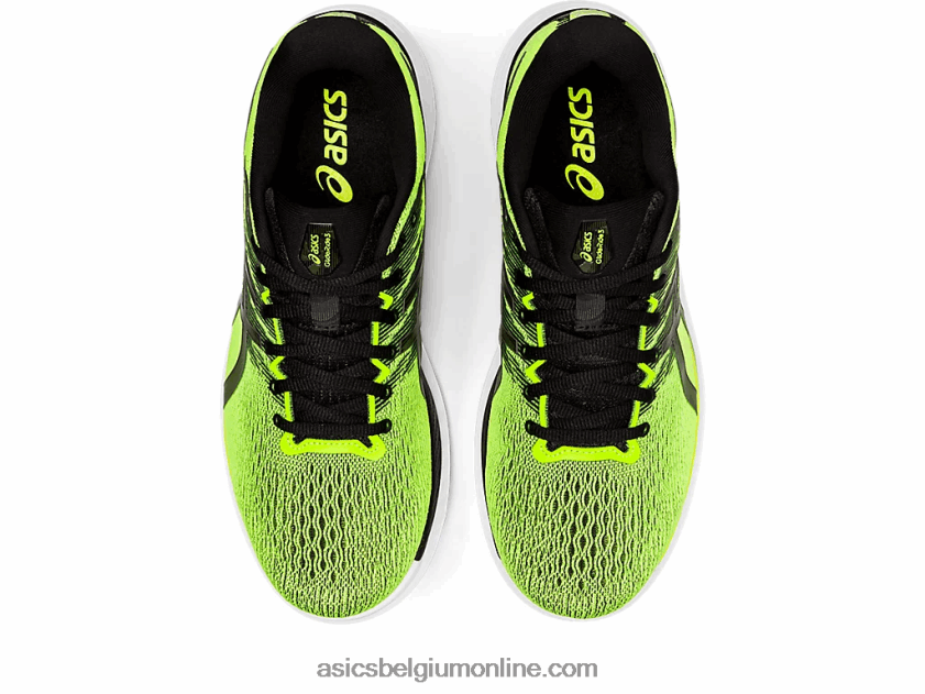 zweefvliegen 3 V6HXR21137 gevaar groen/zwart Asics