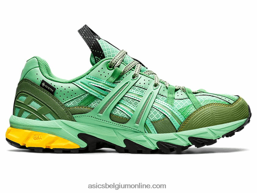 hs4-s gel-sonoma 15-50 gtx V6HXR21248 lenteboeket/blauw grafiet Asics