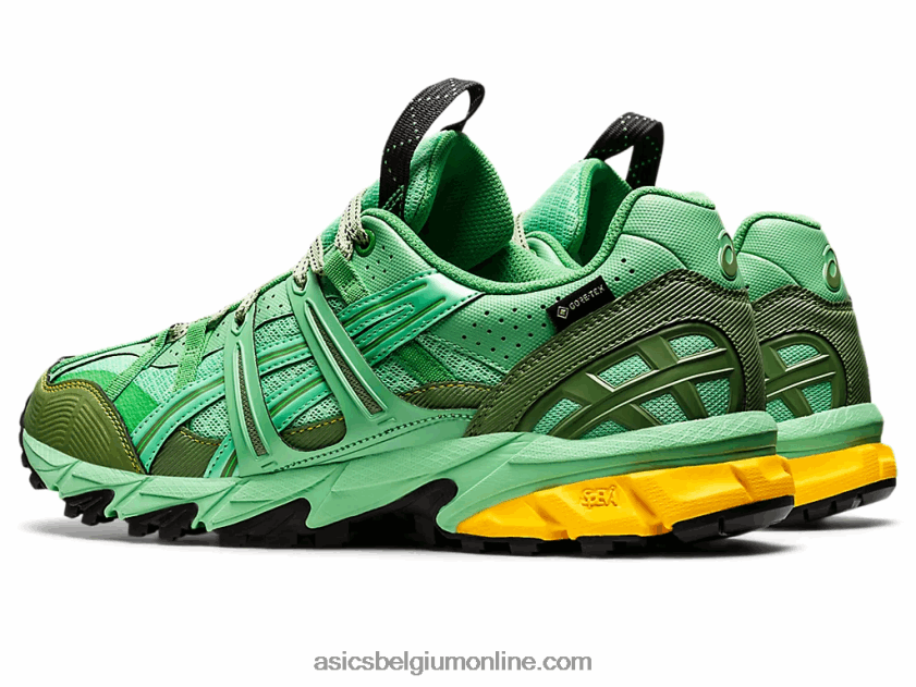 hs4-s gel-sonoma 15-50 gtx V6HXR21248 lenteboeket/blauw grafiet Asics