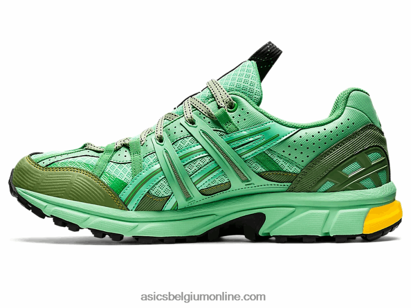 hs4-s gel-sonoma 15-50 gtx V6HXR21248 lenteboeket/blauw grafiet Asics