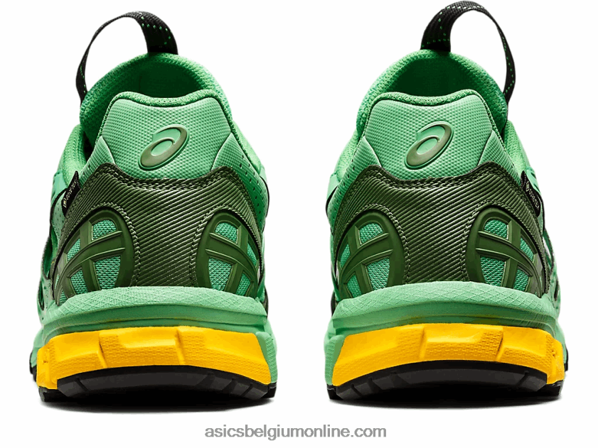 hs4-s gel-sonoma 15-50 gtx V6HXR21248 lenteboeket/blauw grafiet Asics