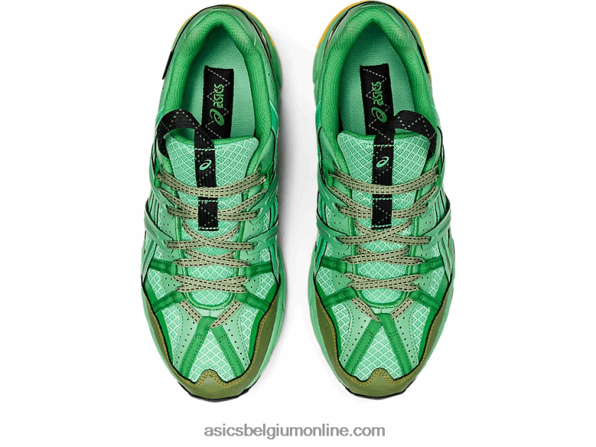 hs4-s gel-sonoma 15-50 gtx V6HXR21248 lenteboeket/blauw grafiet Asics