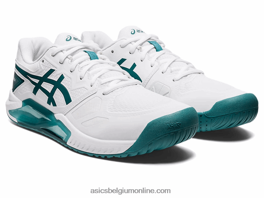 gelchallenger 13 V6HXR21203 wit/fluweel grenen Asics