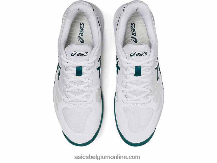 gelchallenger 13 V6HXR21203 wit/fluweel grenen Asics