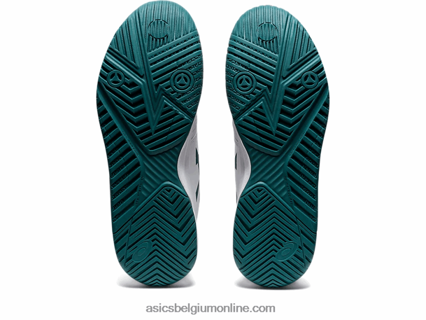 gelchallenger 13 V6HXR21203 wit/fluweel grenen Asics