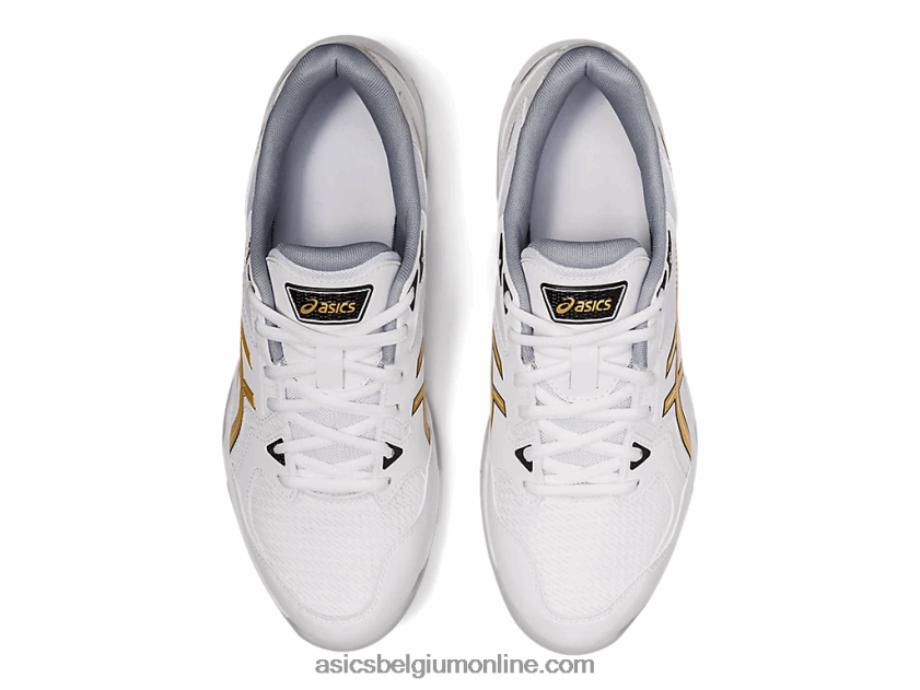 gelraket 10 V6HXR21890 wit/puur goud Asics
