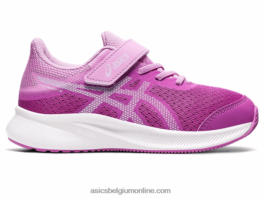patriot 13 kleuterschool V6HXR24438 orchidee/zachte lucht Asics