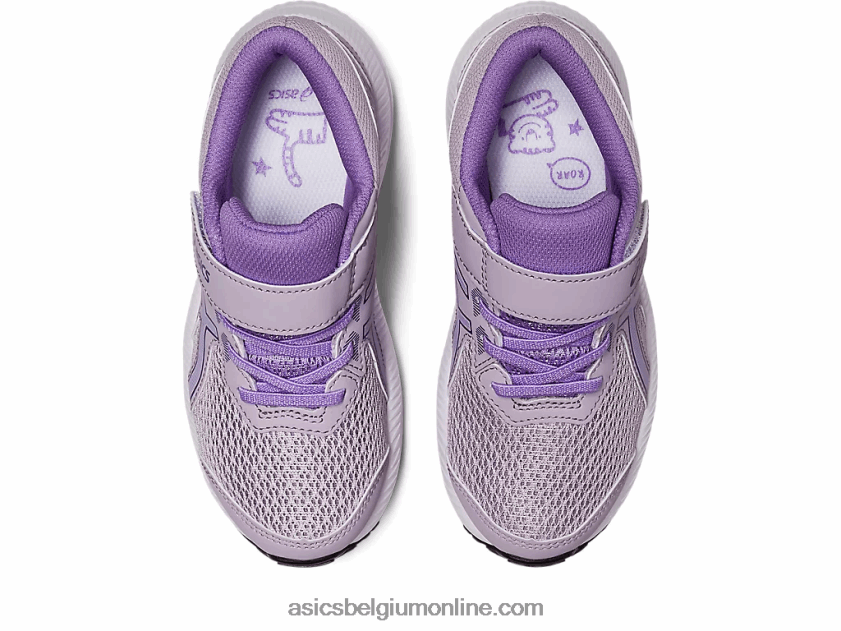 strijd 8 pre-school V6HXR24248 schemerviolet/digitaal violet Asics