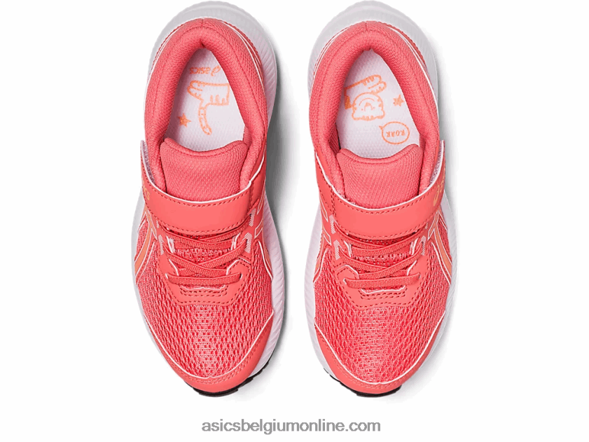 strijd 8 pre-school V6HXR24259 papaja/zomerduin Asics
