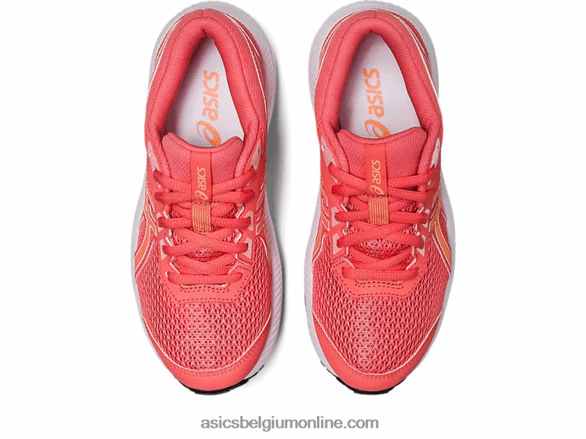 strijden met groep 8 V6HXR24278 papaja/zomerduin Asics