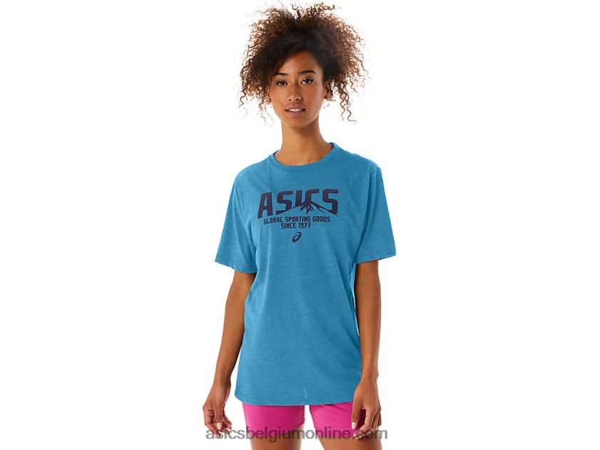 1977 mtn tee V6HXR242 eiland blauwe heide Asics