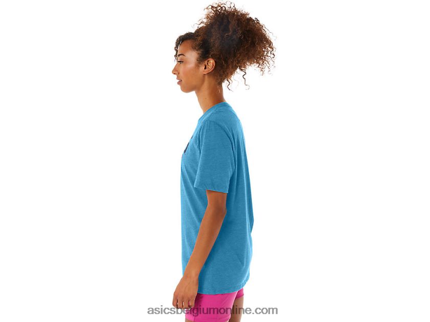 1977 mtn tee V6HXR242 eiland blauwe heide Asics