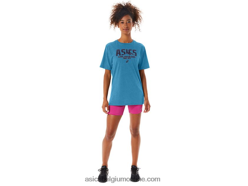1977 mtn tee V6HXR242 eiland blauwe heide Asics