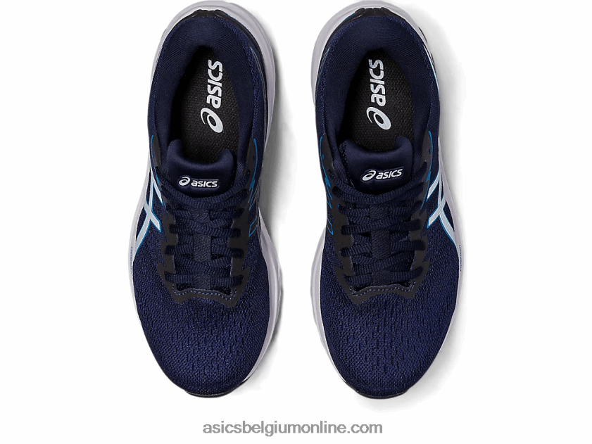 GT-1000 11 V6HXR22423 indigoblauw/hemel Asics