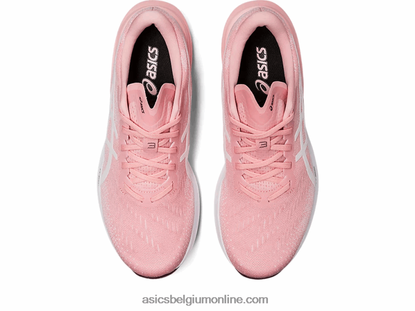 dynablast 3 V6HXR22736 matroze/wit Asics