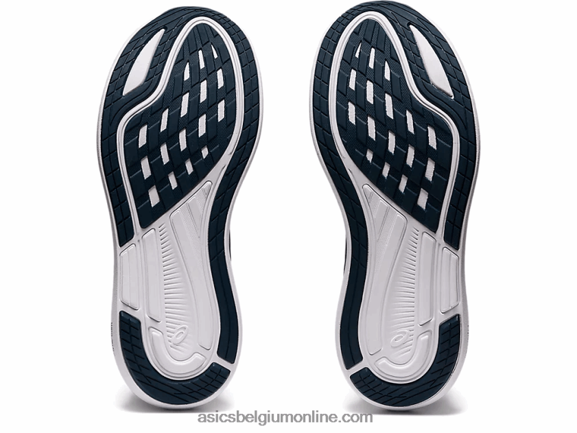 evoride 2 V6HXR23986 franse blauwe/digitale druif Asics