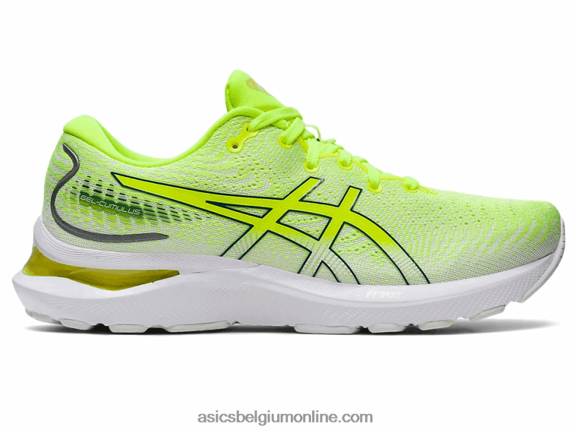 gel-cumulus 24 V6HXR22991 veiligheidsgeel/fluweel grenen Asics
